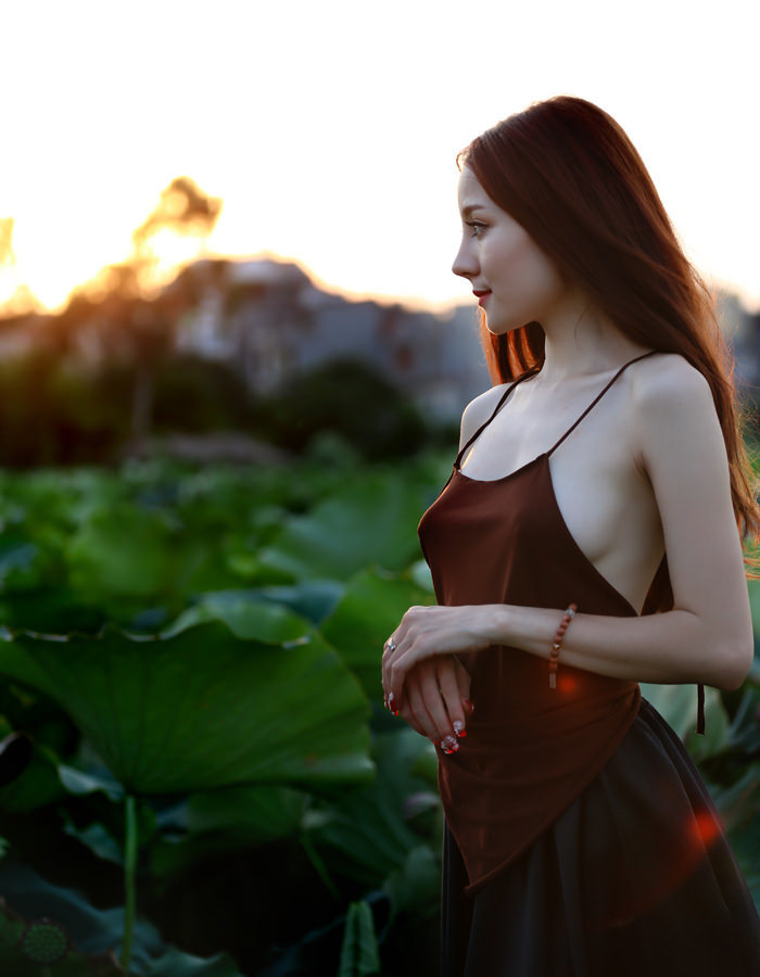 珠帘玉幕免费